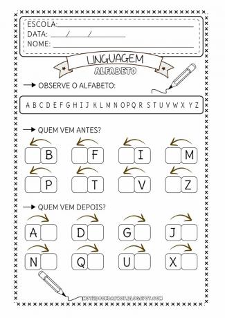 Actividades de texto: La magia del alfabeto