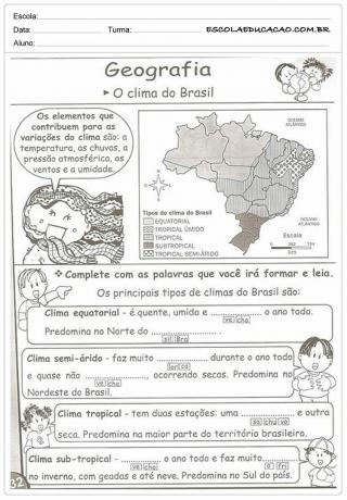 브라질 기후에 관한 활동 