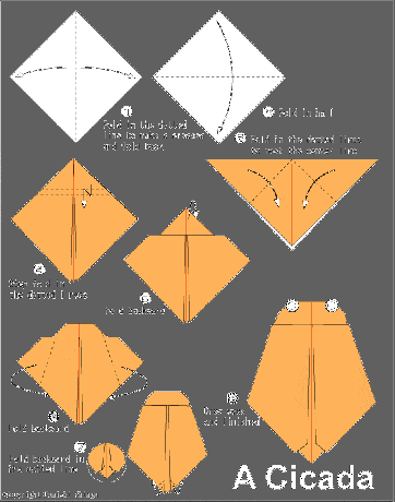 step by step origami of the cicada