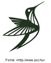 kolibri - basna