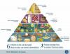 Kas ir pārtikas piramīda?