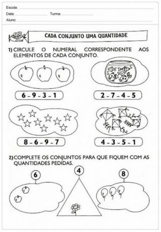 1st Year Mathematics Activity: Numbers and Quantities