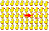 Тест за внимание: намерете различната патица възможно най-бързо