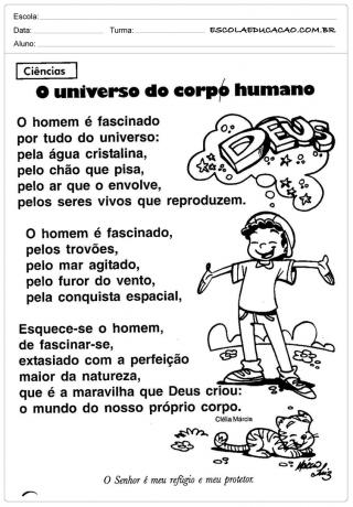 Activities about the body - The Universe of the Human Body