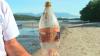 A 25 évvel ezelőtt eldobott Coca-Cola emlékpalackot fedezik fel a tengerparton; lásd a részleteket