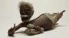 Los científicos están cerca de revelar el misterio de la 'momia sirena', supuestamente capturada en 1700
