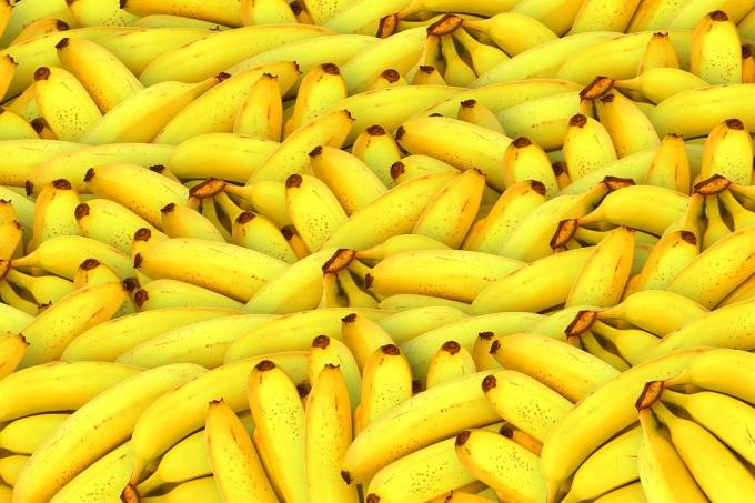 pisang