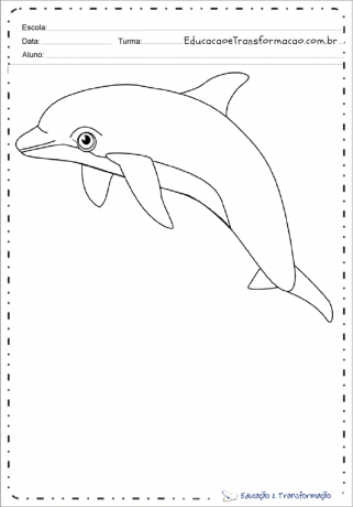 Rosa Delphin-Zeichnungen zum Ausmalen und Drucken