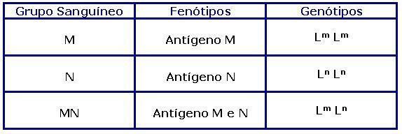 Генотипове и фенотипове на MN система