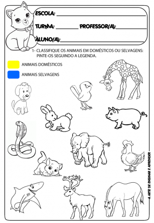 Activities About Animals for Early Childhood Education