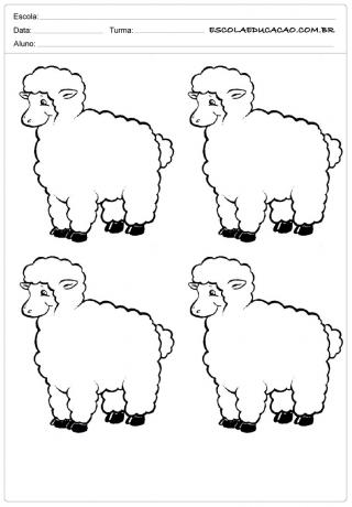 4 veselé ovečky