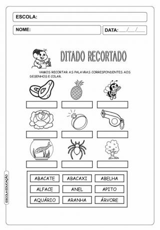 Clipped Dictation: Activities with the letter of the alphabet 