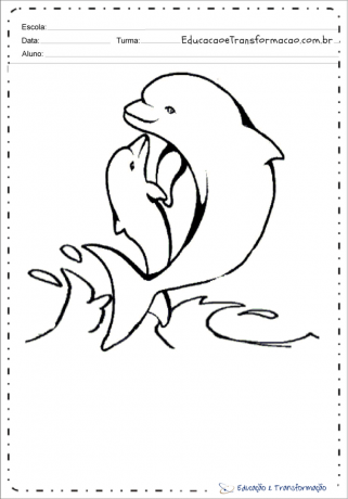 ภาพวาดปลาโลมาสีชมพูสำหรับระบายสีและพิมพ์