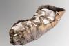 В Австрии найдена детская обувь возрастом 2000 лет; посмотрите изображения!