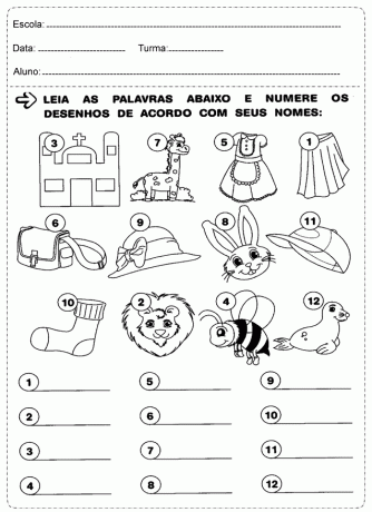 Portugalske aktivnosti tiskane godinu dana - Osnovna škola.