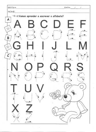 텍스트 활동: 알파벳의 마법