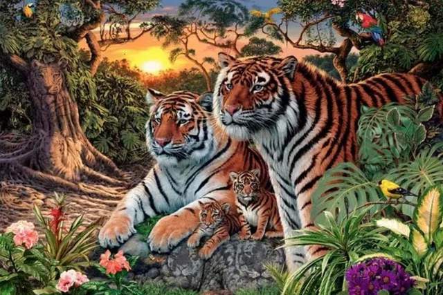 How many tigers can you see?