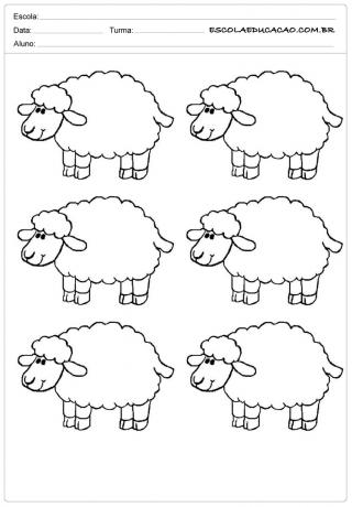 6 simpatiche pecorelle