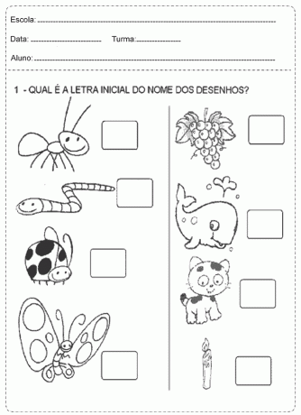 포르투갈어 활동 1년 인쇄 - 초등학교.