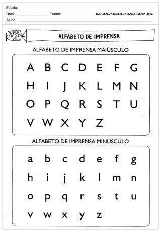 3rd year Portuguese activities - Press Alphabet