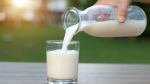 В допълнение към непоносимостта към лактоза: 10 други противопоказания за консумация на мляко