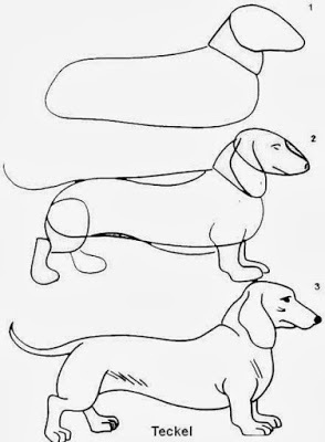 كيفية رسم الحيوان خطوة بخطوة