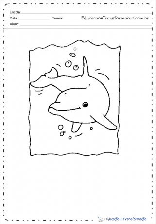 Dibujos de delfines rosados ​​para colorear e imprimir