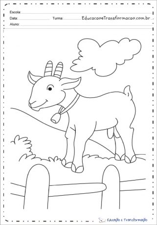 حيوانات المزرعة - صفحة تلوين الماعز