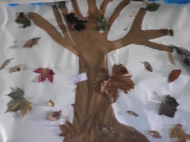 Autumn Wall for Early Childhood Education