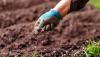 USP bioväetis lubab muuta säästva põllumajanduse; uudiseid teada