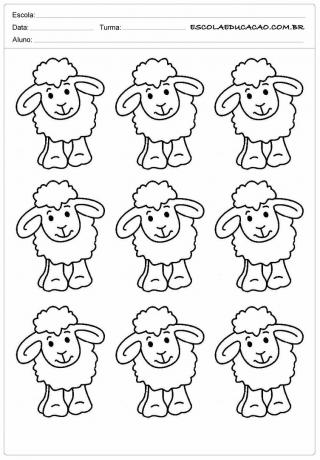 9 pecore dalla parte anteriore