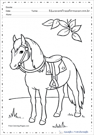 Ausmalbild: Nutztierzeichnungen - Pferde