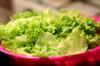 Kāpēc salātu lapas kļūst dzeltenas? Izprotiet un uzziniet, kā to RISINĀT