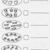 Matemáticas 1er grado listo para imprimir