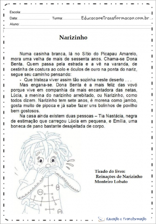 Texttolkning Aktiviteter Bokdag - Narizinho