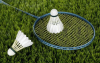 Text interpretation: Badminton