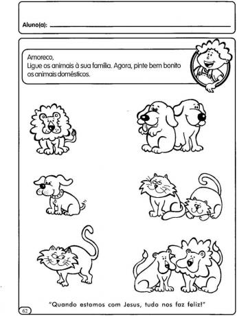 Activities About Animals for Early Childhood Education
