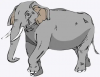 Interpretasi teks: Gajah
