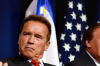 Consejos de una leyenda: aprenda de lo que Arnold Schwarzenegger tiene que decir sobre la vida