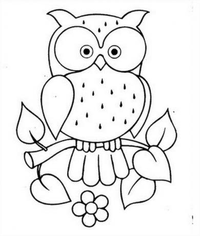 OWLS ფერადი ნახატები