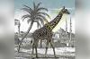 Lov žirafy: dokážete nájsť druhú za 15 sekúnd?