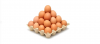 التحدي البصري: كم عدد البيض الذي تراه؟ أجب بسرعة!