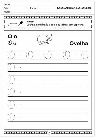 Sheep Activity - Letter O