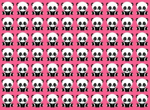Čím se liší panda?