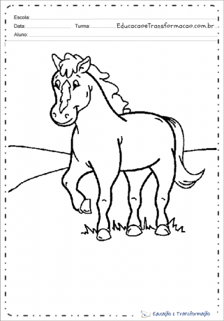 Ausmalbild: Nutztierzeichnungen - Pferde