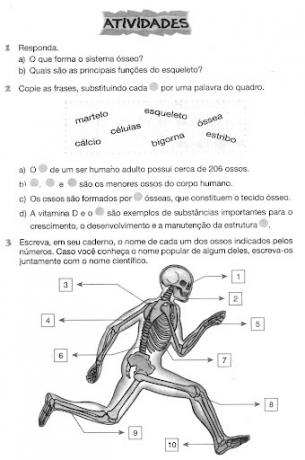 Activities on human body systems