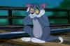 Tom & Jerry-Ende: Sehen Sie, was sich hinter der SCHOCKIERENDEN letzten Episode der Animation verbirgt