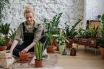 Tener plantas en el dormitorio es malo para la salud: ¿mito o verdad? ¡AVERÍGUALO!