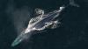 Nieoczekiwane: detektor bomb nuklearnych wykrył rzadki gatunek płetwala błękitnego; sprawdź szczegóły