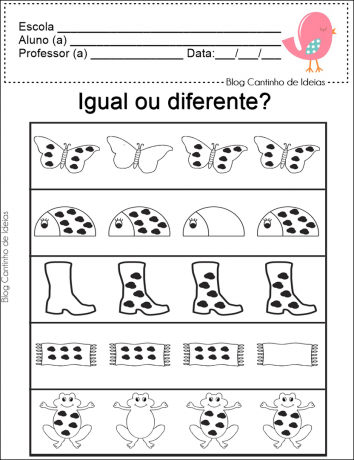 Activities on Equal and Different